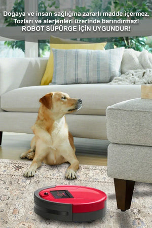 Monty Vintage Desenli Pamuk Tabanlı Yıkanabilen Kaydırmaz Antibakteriyel Şönil Salon Halısı - Aydahome