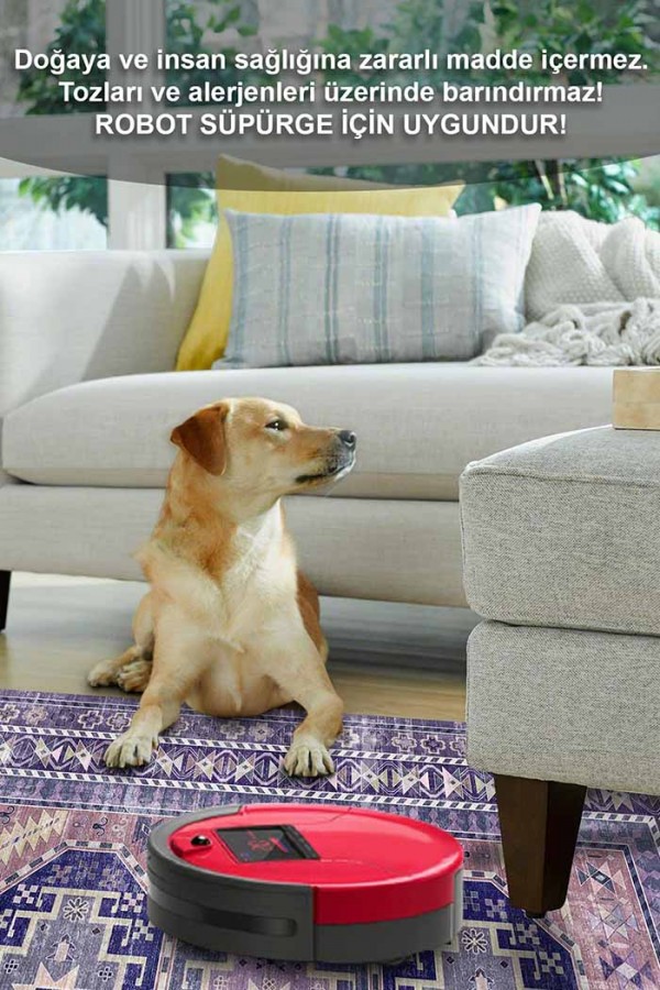 Darlen Desenli Pamuk Tabanlı Yıkanabilen Kaydırmaz Antibakteriyel Şönil Salon Halısı