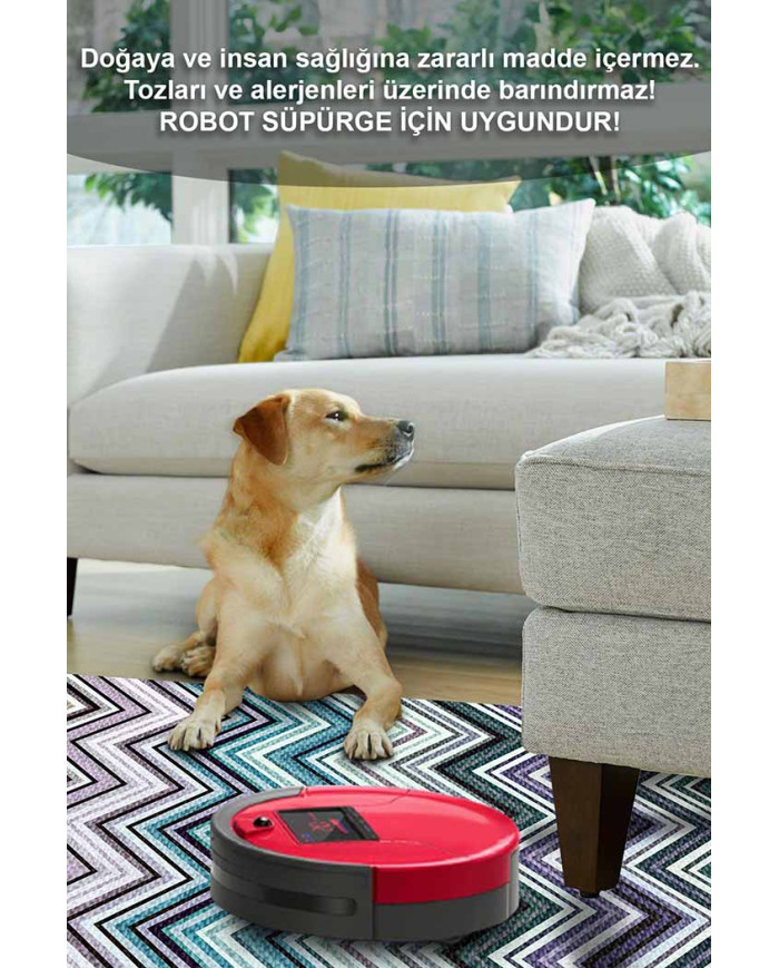 Evan Desenli Pamuk Tabanlı Yıkanabilen Kaydırmaz Antibakteriyel Şönil Salon Halısı