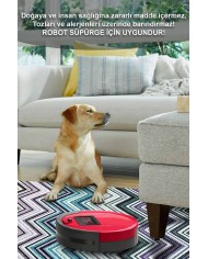 Evan Desenli Pamuk Tabanlı Yıkanabilen Kaydırmaz Antibakteriyel Şönil Salon Halısı