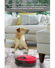 Filament Eskitme Desenli Pamuk Tabanlı Yıkanabilen Kaydırmaz Antibakteriyel Şönil Salon Halısı