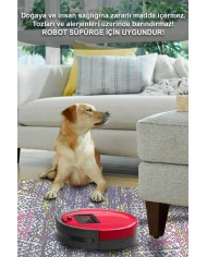 Kane Desenli Pamuk Tabanlı Yıkanabilen Kaydırmaz Antibakteriyel Şönil Salon Halısı