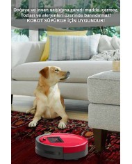 Lucy Eskitme Desenli Pamuk Tabanlı Yıkanabilen Kaydırmaz Antibakteriyel Şönil Salon Halısı