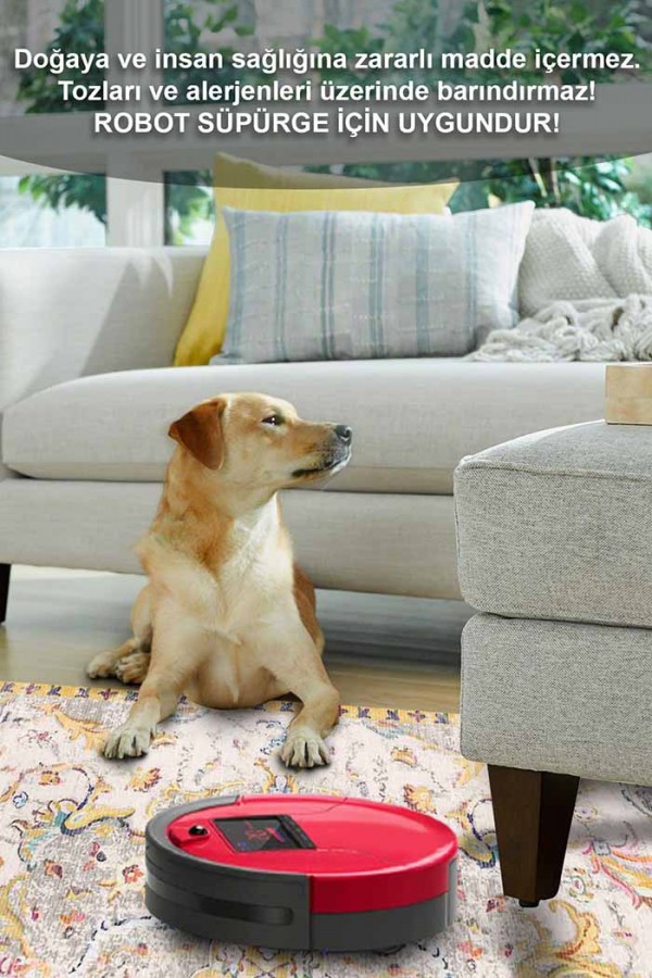 Renne Desenli Pamuk Tabanlı Yıkanabilen Kaydırmaz Antibakteriyel Şönil Salon Halısı