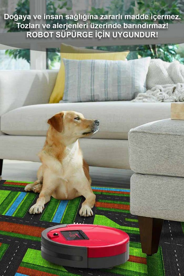 Darlene Pamuk Tabanlı Yıkanabilen Kaydırmaz Antibakteriyel Şönil Çocuk Halısı