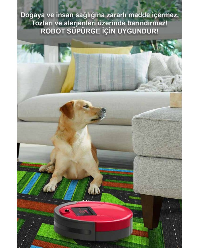 Darlene Pamuk Tabanlı Yıkanabilen Kaydırmaz Antibakteriyel Şönil Çocuk Halısı