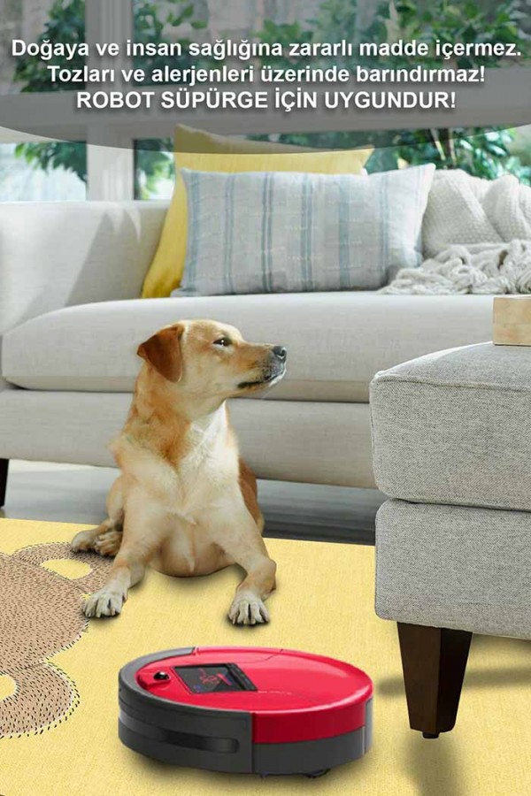 Lenora Pamuk Tabanlı Yıkanabilen Kaydırmaz Antibakteriyel Şönil Çocuk Halısı