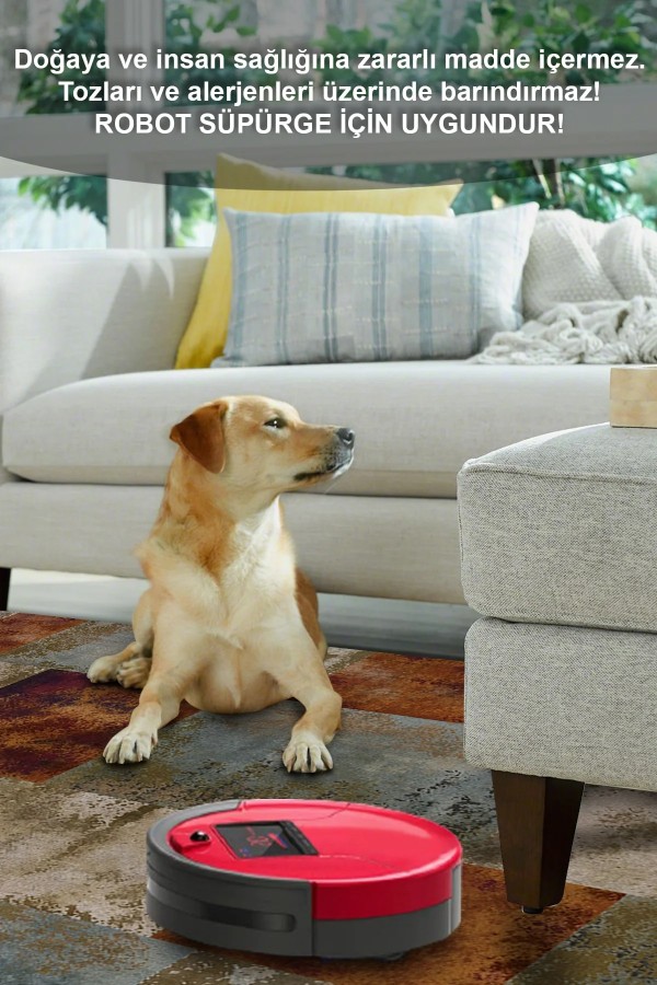 Alaiana Desenli Pamuk Tabanlı Yıkanabilen Kaymaz Antibakteriyel Şönil Salon Halısı