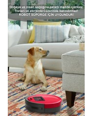 Alis Desenli Pamuk Tabanlı Yıkanabilen Kaymaz Antibakteriyel Şönil Salon Halısı