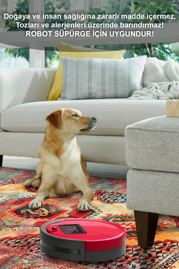 Anemo Desenli Pamuk Tabanlı Yıkanabilen Kaymaz Antibakteriyel Şönil Salon Halısı