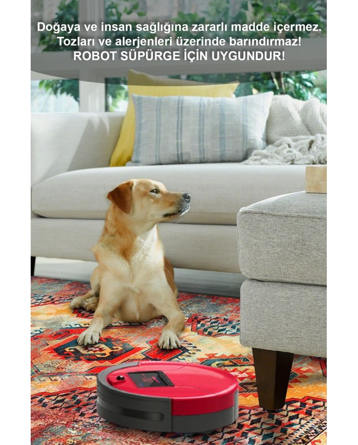 Anemo Desenli Pamuk Tabanlı Yıkanabilen Kaymaz Antibakteriyel Şönil Salon Halısı