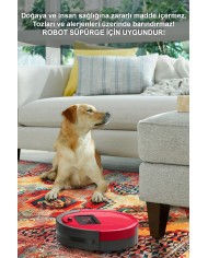 Anemo Desenli Pamuk Tabanlı Yıkanabilen Kaymaz Antibakteriyel Şönil Salon Halısı