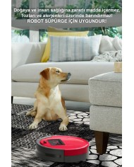 Antem Desenli Pamuk Tabanlı Yıkanabilen Kaymaz Antibakteriyel Şönil Salon Halısı