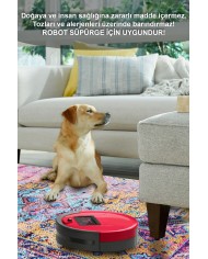 Begon Desenli Pamuk Tabanlı Yıkanabilen Kaymaz Antibakteriyel Şönil Salon Halısı