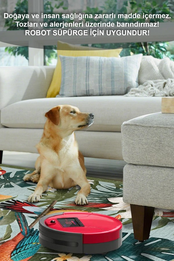 Bird Desenli Pamuk Tabanlı Yıkanabilen Kaymaz Antibakteriyel Şönil Salon Halısı