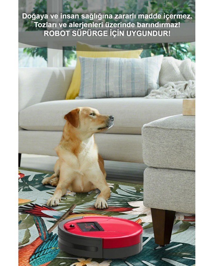 Bird Desenli Pamuk Tabanlı Yıkanabilen Kaymaz Antibakteriyel Şönil Salon Halısı