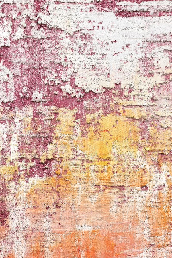 Sally Kadife Yıkanabilir Kaymaz Pamuk Tabanlı Antibakteriyel Salon Halısı