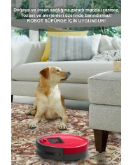 Lande Desenli Pamuk Tabanlı Yıkanabilen Kaymaz Antibakteriyel Şönil Salon Halısı