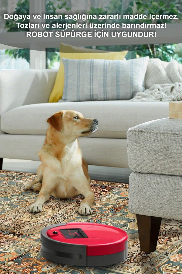 Mesto Desenli Pamuk Tabanlı Yıkanabilen Kaymaz Antibakteriyel Şönil Salon Halısı