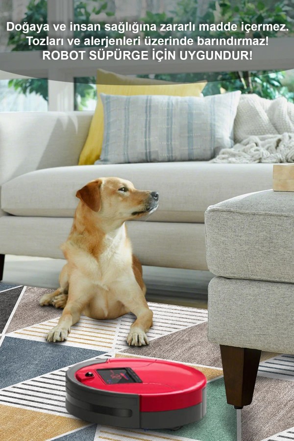 Renor Desenli Pamuk Tabanlı Yıkanabilen Kaydırmaz Antibakteriyel Şönil Salon Halısı