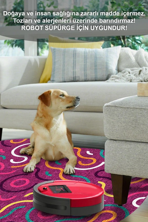 Razey Pamuk Tabanlı Yıkanabilen Kaydırmaz Antibakteriyel Şönil Asimetrik Halı