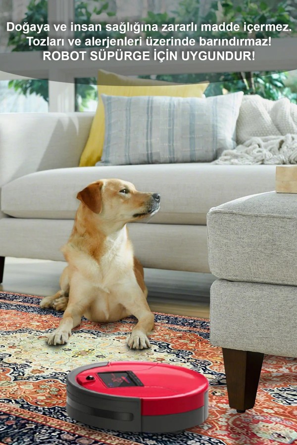 Sinre Desenli Pamuk Tabanlı Yıkanabilen Kaydırmaz Antibakteriyel Şönil Salon Halısı