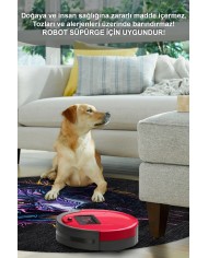 Wolf Şönil Gamer Halısı Pamuk Tabanlı Yıkanabilen Kaymaz Genç Odası Oyuncu Gaming Halısı