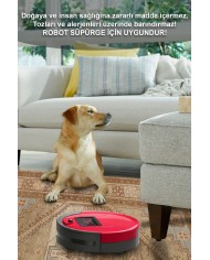 Lukes Vintage Desenli Pamuk Tabanlı Yıkanabilen Kaydırmaz Antibakteriyel Şönil Salon Halısı