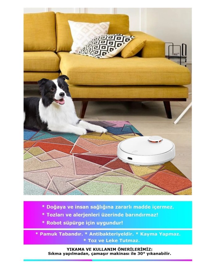 Brave Modern Kadife Desenli Pamuk Tabanlı Yıkanabilen Kaydırmaz Antibakteriyel Salon Halısı