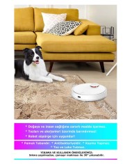 Hana Modern Kadife Eko Desenli Pamuk Tabanlı Yıkanabilen Kaydırmaz Antibakteriyel Salon Halısı