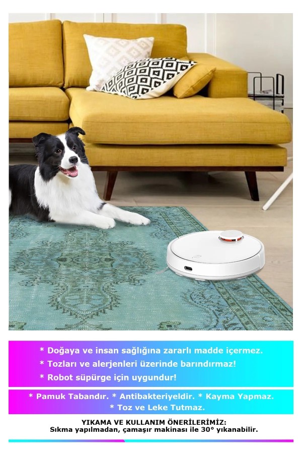 Jeff Modern Kadife Eko Desenli Pamuk Tabanlı Yıkanabilen Kaydırmaz Antibakteriyel Salon Halısı