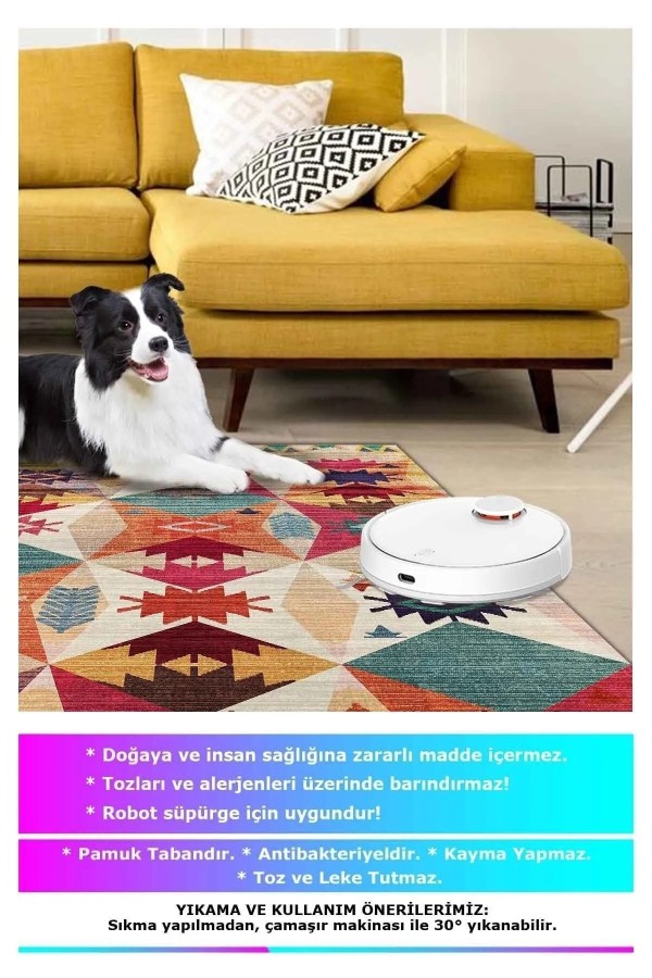 Rhodo Modern Desenli Kadife Pamuk Yıkanabilen Kaydırmaz Antibakteriyel Salon Halısı Rhodo Modern Desenli Kadife Pamuk Yıkanabilen Kaydırmaz Antibakteriyel Salon Halısı