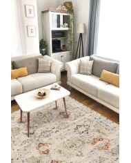 Jety Modern Kadife Pamuk Tabanlı Yıkanabilen Kaydırmaz Antibakteriyel Salon Halısı