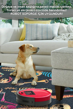 Bones Modern Şönil Gamer Halısı Pamuk Tabanlı Yıkanabilen Kaymaz Genç Odası Oyuncu Gaming Halısı - Aydahome