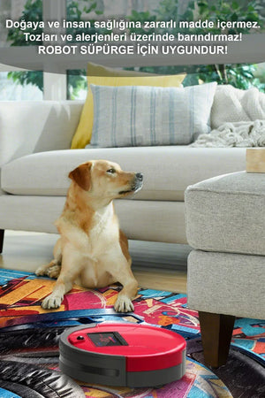 Earps Modern Şönil Gamer Halısı Pamuk Tabanlı Yıkanabilen Kaymaz Genç Odası Oyuncu Gaming Halısı - Aydahome