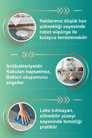 Alexis Modern Kadife Pamuk Tabanlı Yıkanabilen Kaydırmaz Antibakteriyel Salon Halısı - Aydahome
